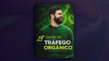 Gestao De Trafego Organico